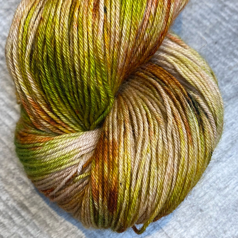 Photograph of hand dyed BFL wool in 'Bradgate Park', showing a close-up of the end of the skein. The colours are an autumnal mix of browns and greens.